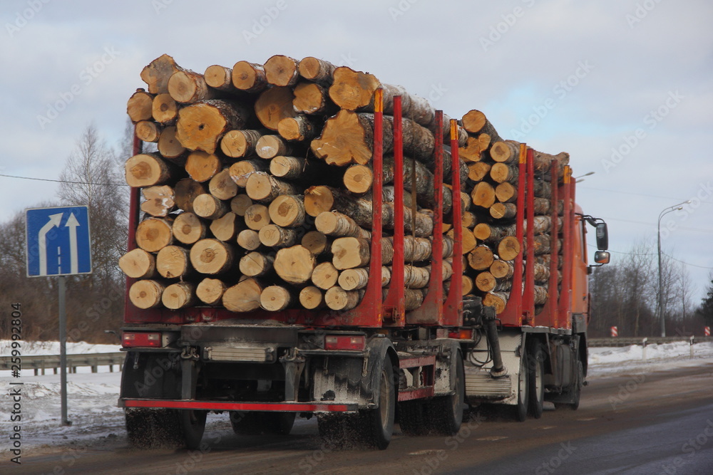 Trailer timber truck carries logs on a winter road - commercial timber import in Europe, wood trading