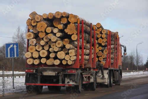 Trailer timber truck carries logs on a winter road - commercial timber import in Europe, wood trading