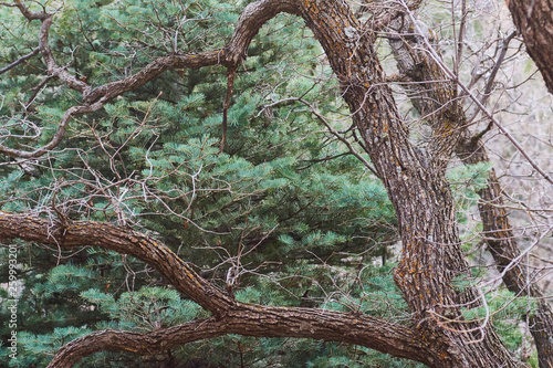 Southwest Mountains Backgrounds