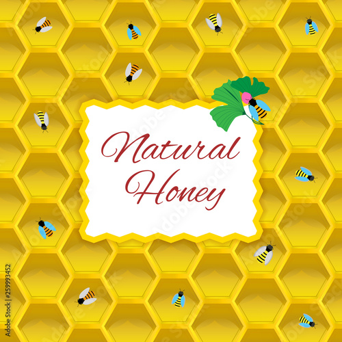Natural honey concept