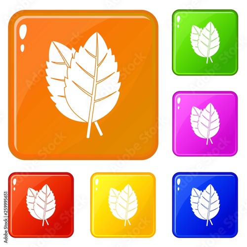 Two basil leaves icons set collection vector 6 color isolated on white background