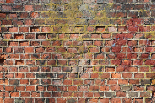 background old brick wall fortified fort photo