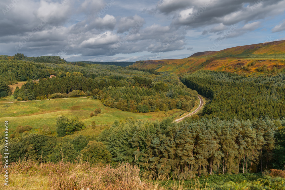 Naklejka premium North York Moors landscape in Newtondale, seen from the Levisham Moor, North Yorkshire, England, UK