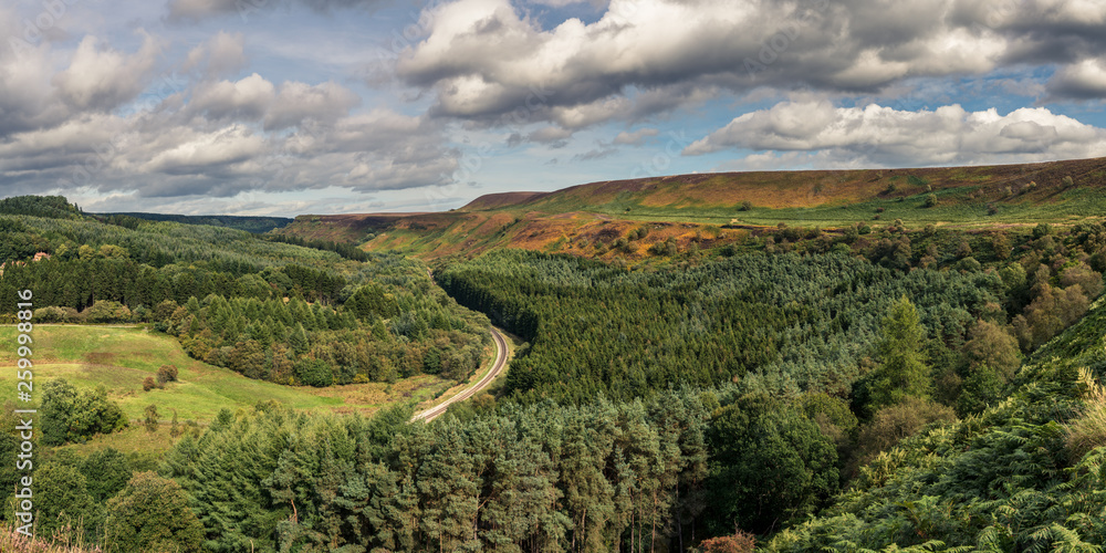 North York Moors landscape in Newtondale, seen from the Levisham Moor, North Yorkshire, England, UK