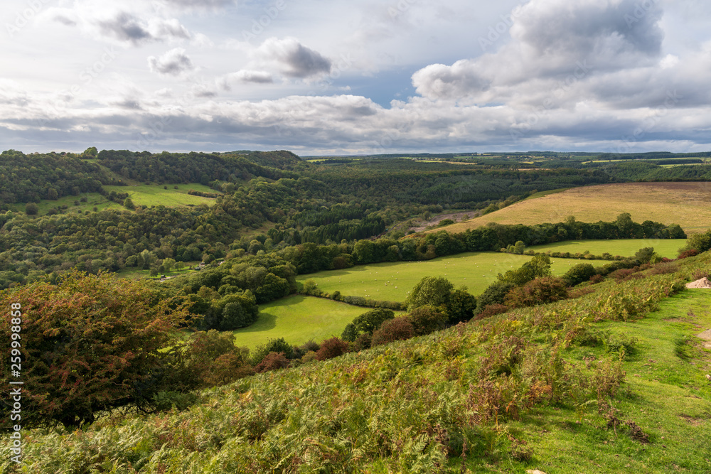North York Moors landscape, at the Levisham Moor, North Yorkshire, England, UK