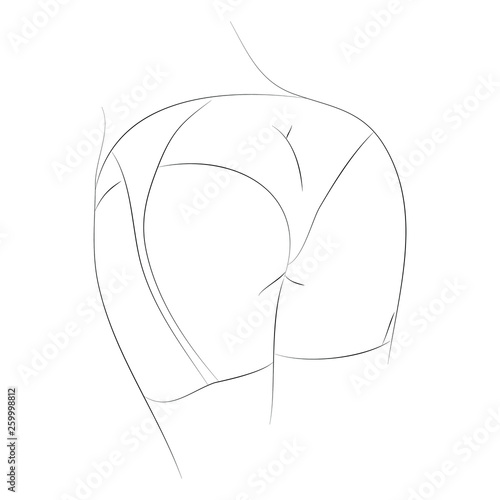 Vector abstract illustration of female butt in sexy underwear