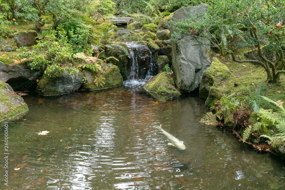Fish pond and fountain at the Japanese tea garden Fish pond and fountain at the Japanese tea garden