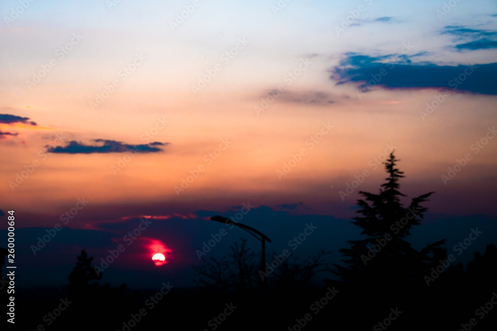 Fototapeta premium sunset tree flower city