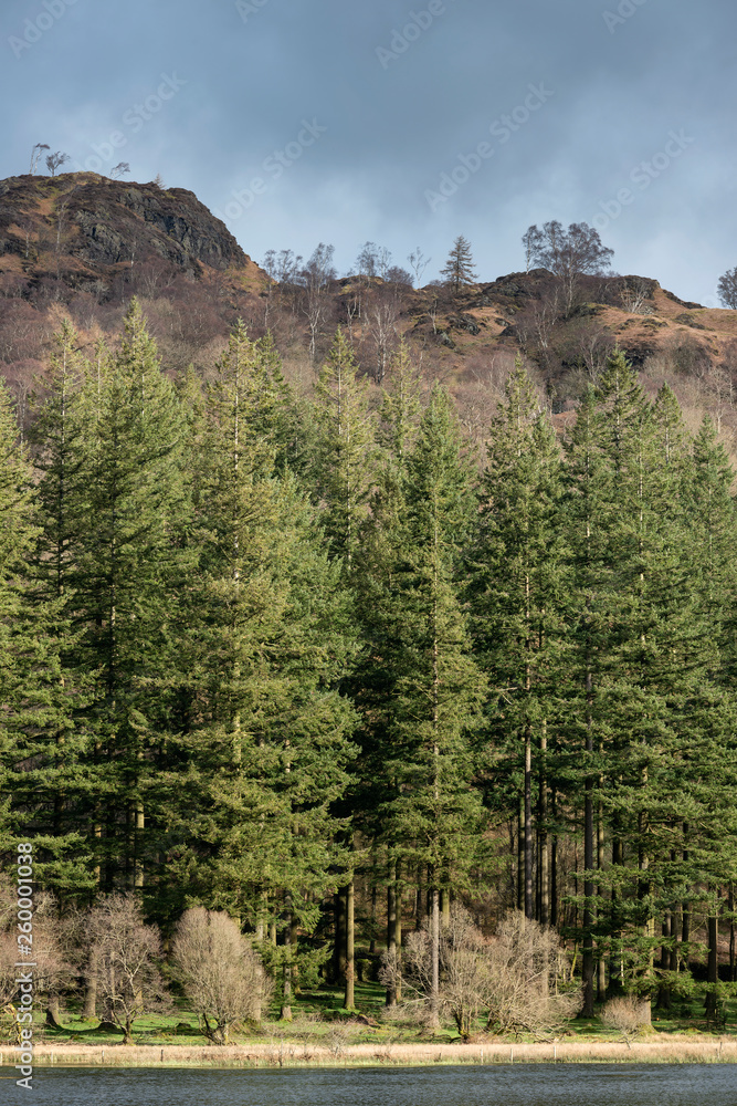 Stunning Spring landscape image of Yew Tree Tarn in UK Lake District