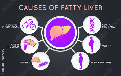 causes of fatty liver logo icon design, medical vector illustration photo