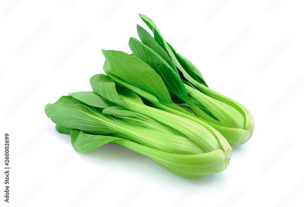 bok choy on white background bok choy on white background