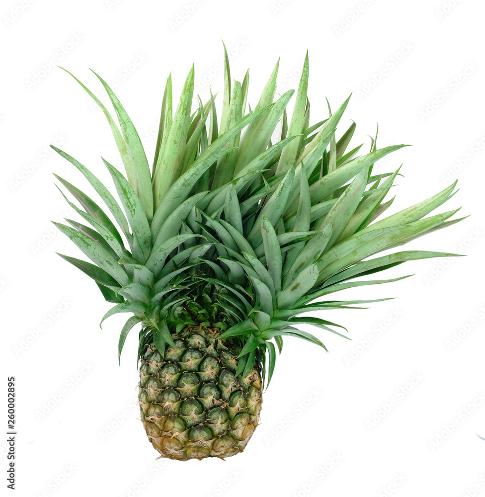 isolated pineapple with crown stalk isolated pineapple with crown stalk