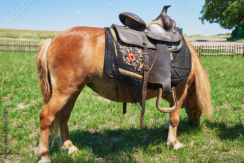 Western saddle for a horse decorated with beautiful ornament