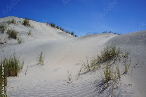 Sand dunes