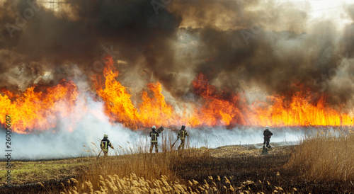 Raging forest spring fires. Burning dry grass, reed along lake. Grass is burning in meadow. Ecological catastrophy. Fire and smoke destroy all life. Firefighters extinguish Big fire. Lot of smoke photo