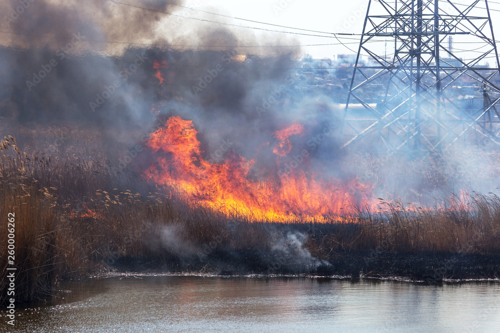 Raging forest spring fires. Burning dry grass, reed along lake. Grass is burning in meadow. Ecological catastrophy. Fire and smoke destroy all life. Firefighters extinguish Big fire. Lot of smoke Raging forest spring fires. Burning dry grass, reed along lake. Grass is burning in meadow. Ecological catastrophy. Fire and smoke destroy all life. Firefighters extinguish Big fire. Lot of smoke