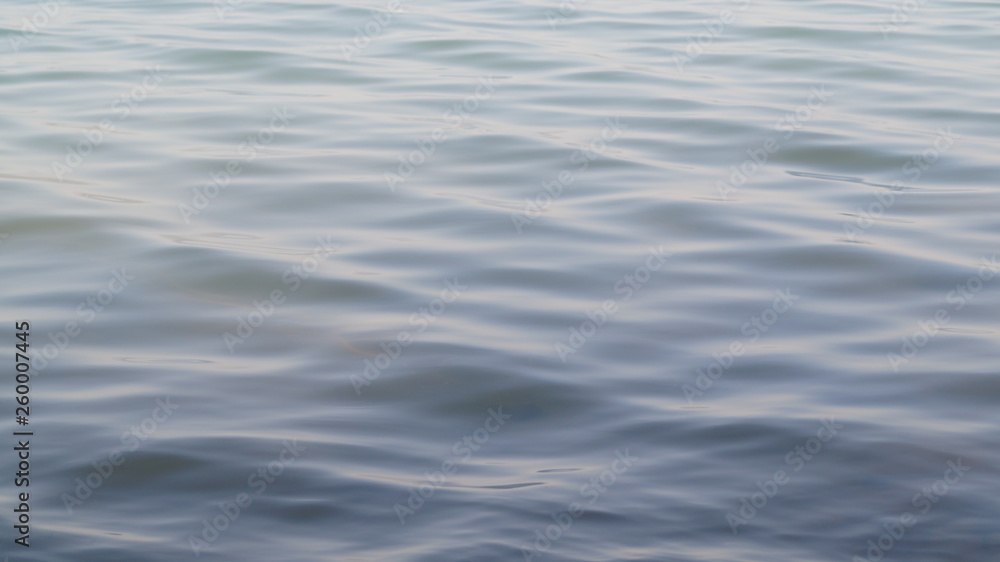 Ripples on surface of water