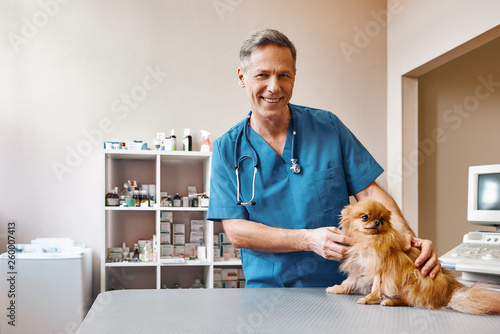 Working with animals. Positive middle aged vet stroking small and cute dog before making check up at veterinary clinic photo