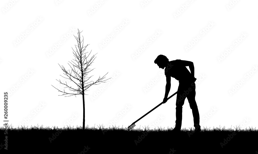 Fototapeta premium Realistic illustration with silhouette of a gardener man with rakes. Lawn and young tree without leaves, isolated on white background, vector
