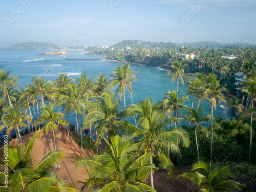 Aerial view of coconut trees at seaside the morning,Sri lanka