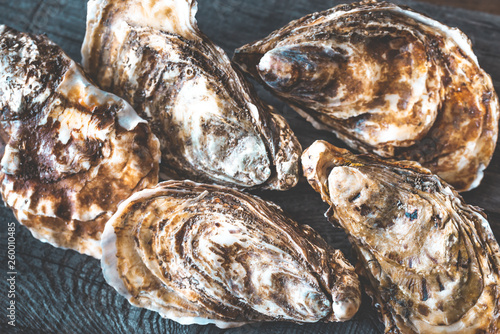 Raw oysters on the board