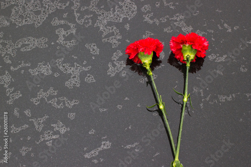 Red chrysanthemums on black stone surface in the rain.