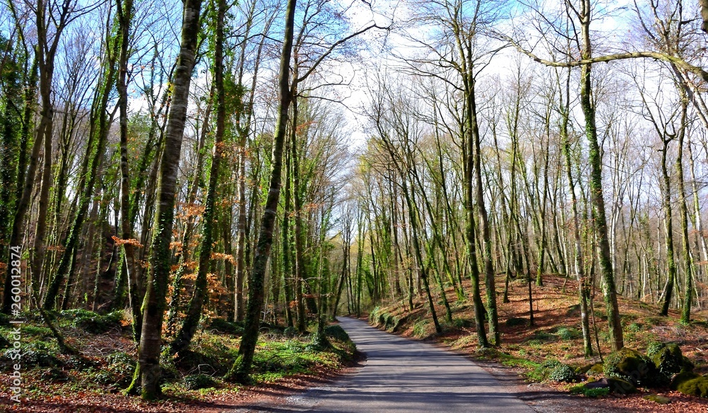 Obraz premium La Garrotxa Volcanic Zone Natural Park