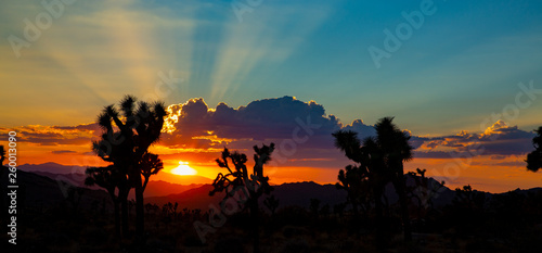 Joshua Tree National Park in California, USA