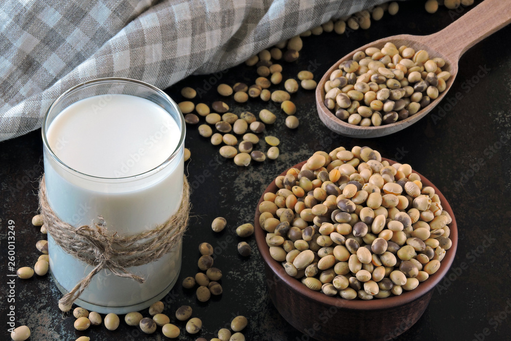 Soy milk. Soya beans. Vegan milk. Eco food. Healthy eating concept. Soy milk. Soya beans. Vegan milk. Eco food. Healthy eating concept.