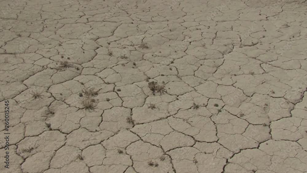 Western Kazakhstan. The bottom of the retreated Aral Sea. Western Kazakhstan. The bottom of the retreated Aral Sea.