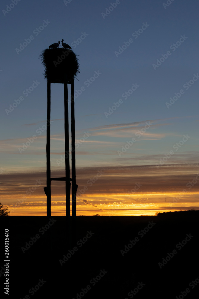 Silhouette of tall pole with nest and stork birds against majestic sunset sky in rural land 