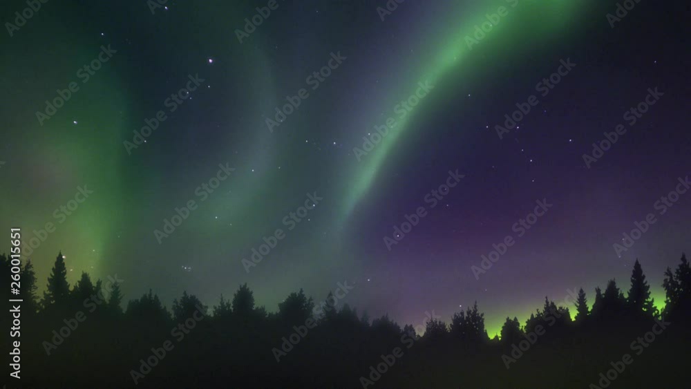 Bright northern lights ribbon unfolding over a winter forest. Bright northern lights ribbon unfolding over a winter forest.