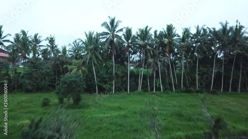 Drone flying over Ubud, Bali Indonesia photo