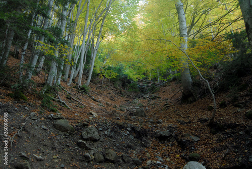Landscapes of Ordesa in Autumn. Spain