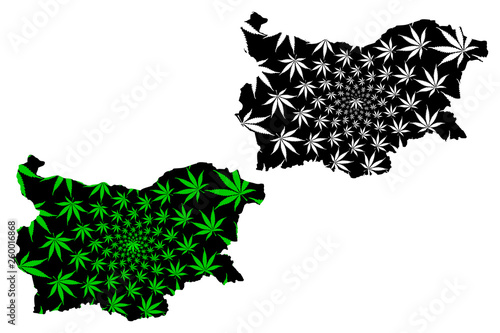 Bulgaria - map is designed cannabis leaf green and black, Republic of Bulgaria map made of marijuana (marihuana,THC) foliage,