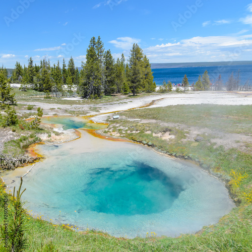 Blue geyser pools at West Thumb geyser basin in Yellowstone National Park in Wyoming, USA