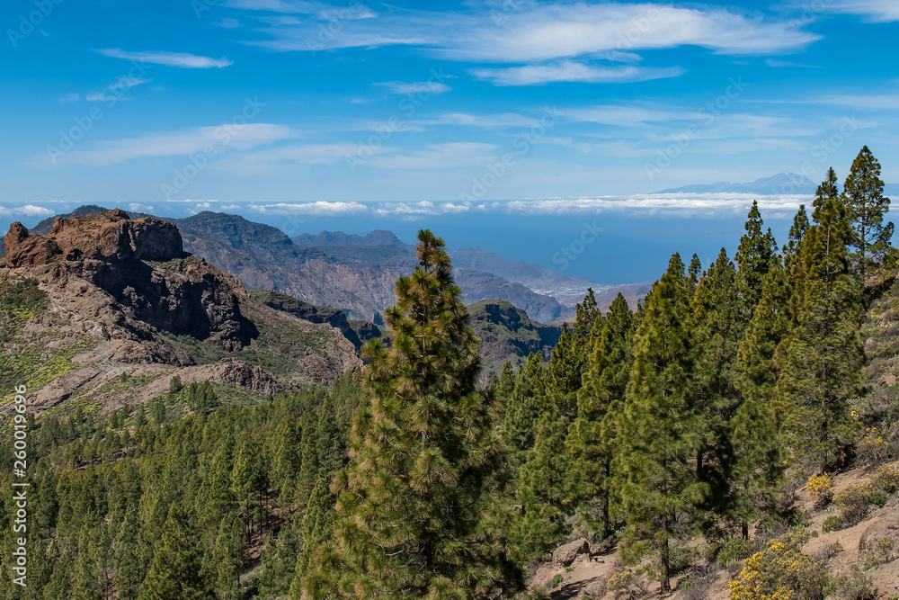 A mountain landscape. There are pine trees in the foreground, and a village in the distance next to the ocean. Tenerife and mount Teide are visible across the water, from Gran Canaria.