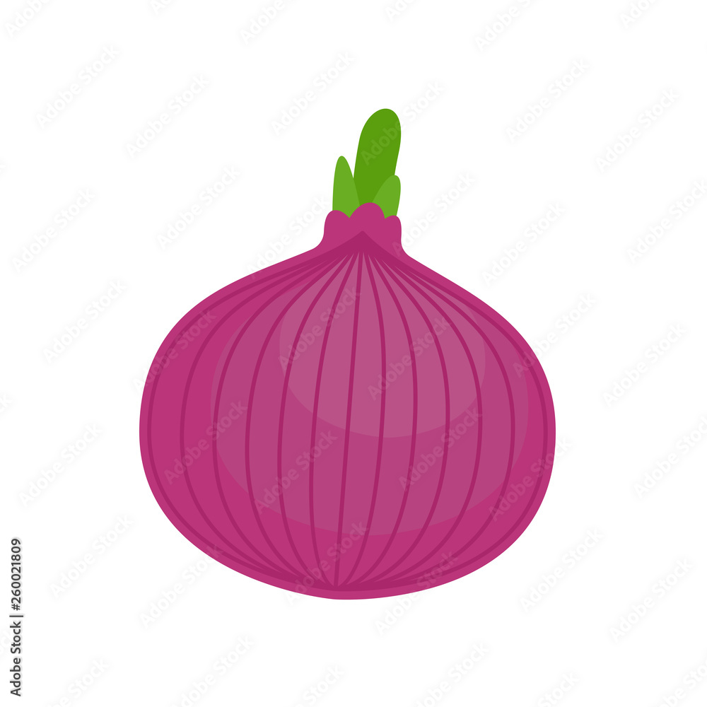 Fotografie Red Onion isolated. vegetable Cartoon style vector illustration