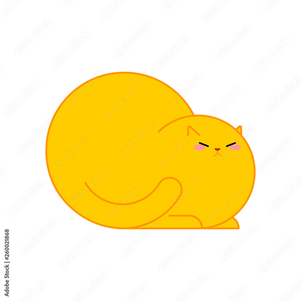 Fototapeta premium Fat cat isolated. Thick pet. Cute animal Cartoon style vector