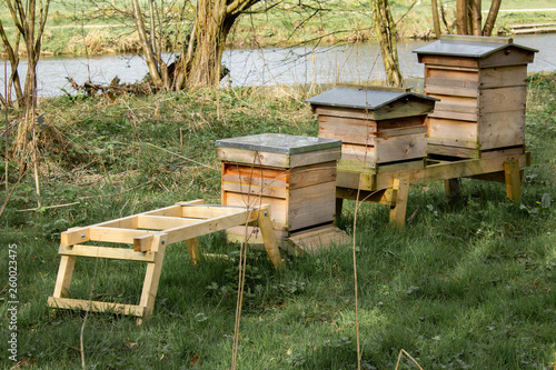 Принти на полотні Beehives installed alongside the river to capture health-giving honey from a new