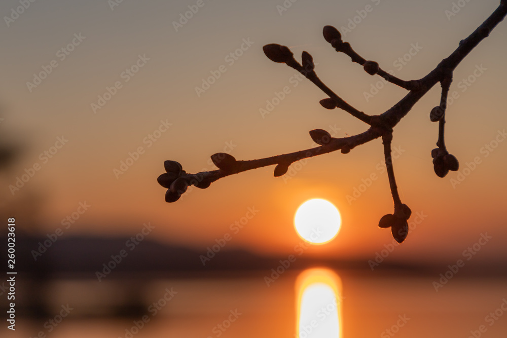 Obraz premium Sonnenuntergang auf der Insel Reichenau