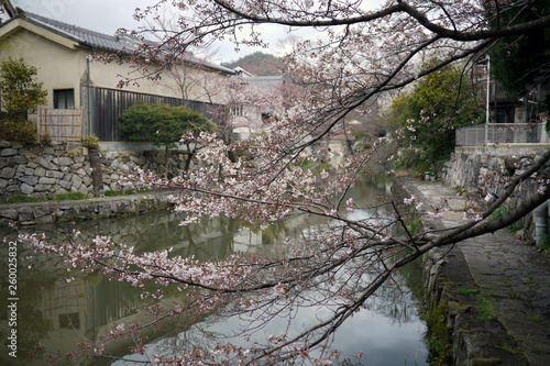 滋賀県近江八幡市の八幡堀の風景