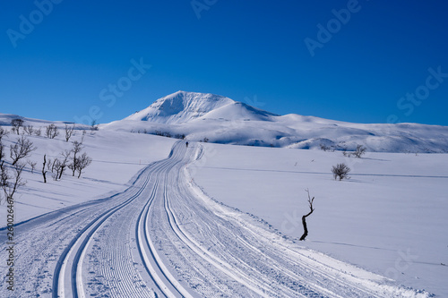Ski tracks in beautiful landscape
