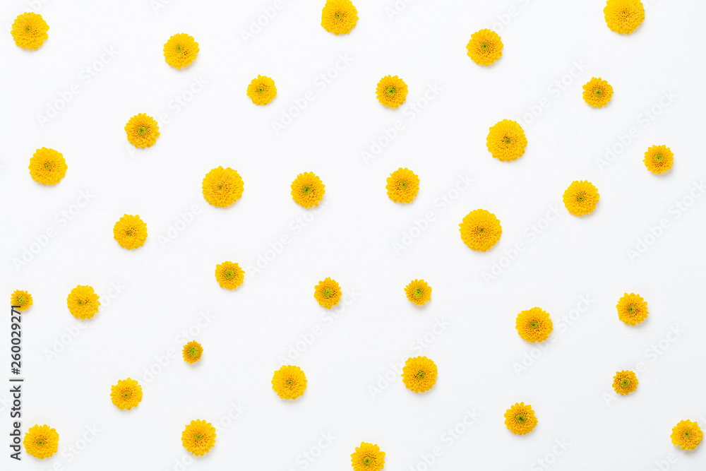 Flowers composition. Pattern made of yellow flowers on white background. Flat lay, top view. Flowers composition. Pattern made of yellow flowers on white background. Flat lay, top view.
