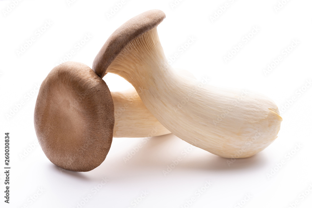 King oyster mushroom on white background. King oyster mushroom on white background.