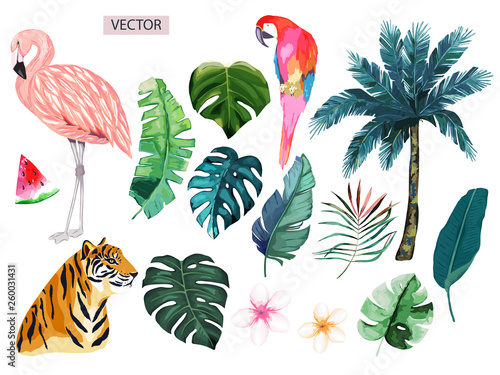Set of  nature with flamingo, parrot, tiger and tropical leaves. Vector isolated illustration
