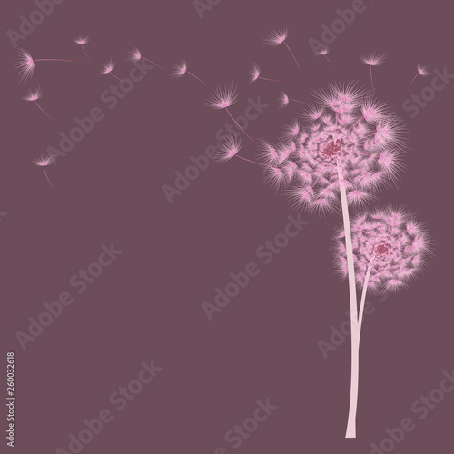 vector pattern with dandelions