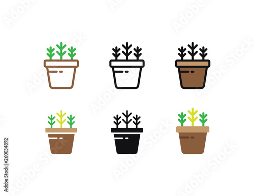 Set floral plants and blooming cactus in pots isolated with line, flat and glyph icon styles on white background. vector illustration © vectoraja