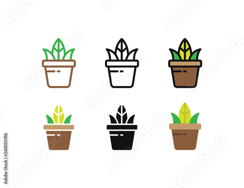 Set floral plants and blooming cactus in pots isolated with line  flat and glyph icon styles on white background. vector illustration