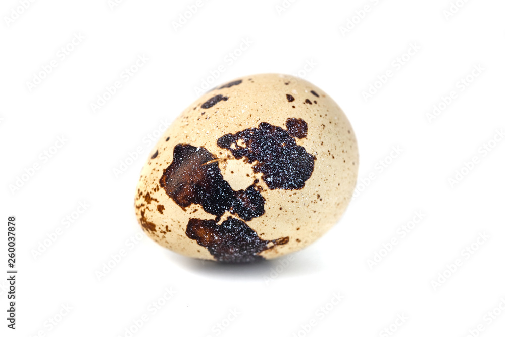 quail egg isolated on white background. close up quail egg isolated on white background. close up